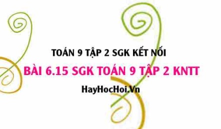 Bài 6.15 SGK Toán 9 tập 2 Kết nối tri thức